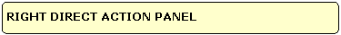 RIGHT DIRECT ACTION PANEL